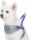 Blueberry Pet Purple Dog Harness, Medium Size, Reflective Nylon Vest, Adjustable for Small Dogs