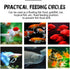 Fish Feeding Ring: Safe Floating Food Feeder Circle with Suction Cup for Aquarium, Ideal for Guppy, Betta, Goldfish (1