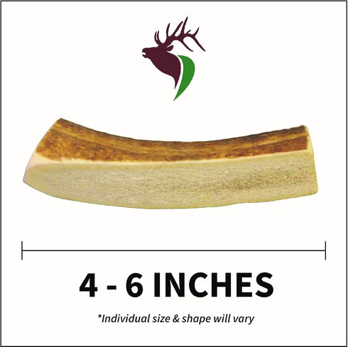 Small Split 5 Pack Premium Grade Elk Antlers for Dogs (5 Pieces) - Sourced in the USA, for 0-20 lb Dogs and Puppies