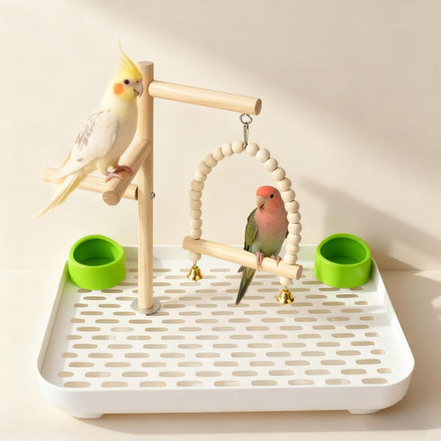 Dmnnlp 4 1 In Bird Playground Stan with Large Tray, Food Bowl, Wooden Bird Play Stand and Swing, Play Gym & Accessories