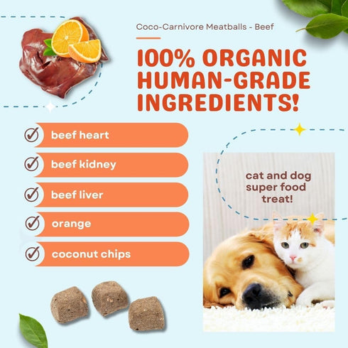 CocoTherapy 2.5 oz Coco-Carnivore Meatballs Beef/Orange/Coconut