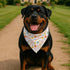 YJIKRTVT Easter Dog Bandana, Cute Bunny & Chick Triangle Pet Scarf, Colorful Easter Egg Spring Holiday Puppy Bib