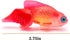 Silicone Artificial Fish Aquarium Decoration - High Simulation Lifelike Floating Fake Betta Fish Tank Ornament (Red