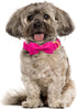 Maca Bates Dog Collar with Adjustable Rose Red Bow Tie, Solid Colors Breakaway Girly Pink Collars for Small, Medium,