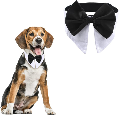 Formal Pet Bowtie Collar, 1 Piece Adjustable White Tuxedo Bow Tie and Collar for Cats Dogs, Neck Girth 21.97-25"