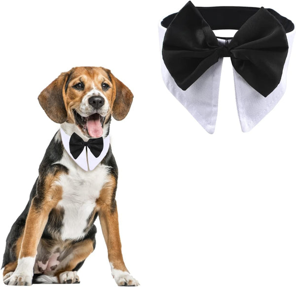 Formal Pet Bowtie Collar, 1 Piece Adjustable White Tuxedo Bow Tie and Collar for Cats Dogs, Neck Girth 21.97-25"