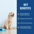 Gut Health for Dogs - 3 in 1 Prebiotic Probiotic Postbiotic, Supports Digestive Health, 60 g