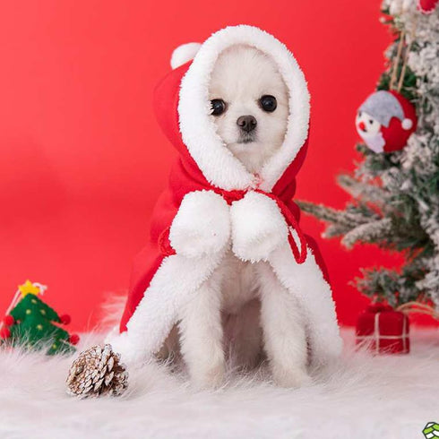 ANIAC Pet Christmas Costume Poncho Cape with Hat, Santa Claus Cloak for Cats & Small Dogs (Large, Red)