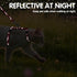 PAWCHIE Escape Proof Adjustable H-shaped Cat Harness with Leash and Collar Set - Glow in The Dark Star and Moon Pattern