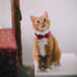 SLSON 4 Pack Cat Collars Breakaway with Bell, Cute Bowtie for Pet Kittens and Small Dogs, Adjustable 8-11In (Plaid)