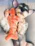 Flopping Lobster Toys for Cats & Small Dogs, Interactive Catnip Toys for Indoor Cats, USB Rechargeable