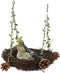 Natural Rattan Nest Bird Swing for Parrot, Parakeet, Cockatiel, Conure, Macaw, Amazon, African Grey, Lovebird (Small)