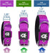 TSPRO Tactical Dog Collar - 1.5 Inch Wide Thick Collars with Heavy Duty Metal Buckle for Medium to Large Dogs (Green M)