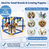 VYNALTIX 16 12 Toys+4 Puppy Play Gym with Toys, Removable Dog Enrichment Playground, Interactive Indoor Training