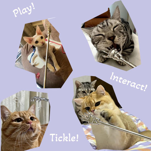2-Pack 22 Inch Pet Interactive Touch Therapy Toys for Cats & Dogs, Telescopic Pet Massage Stick for Training, Bonding