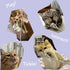 2-Pack 22 Inch Pet Interactive Touch Therapy Toys for Cats & Dogs, Telescopic Pet Massage Stick for Training, Bonding