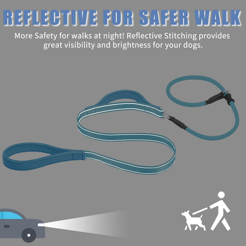 Slip Lead Dog Leash with Double Handle - Reflective Heavy Duty Nylon Slip Leash for Large Medium Small Dogs