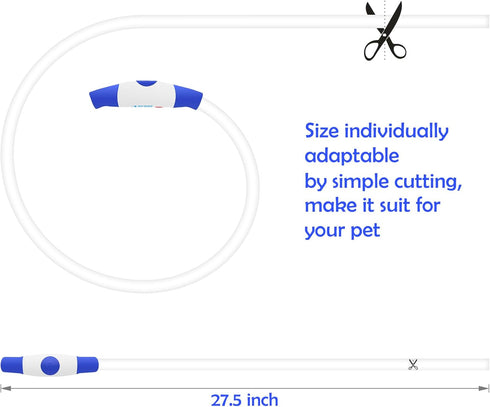 BSEEN Light Up Dog Collar, USB Rechargeable Flash Necklace for Pet Safety, Blue for Small Medium Large Dogs