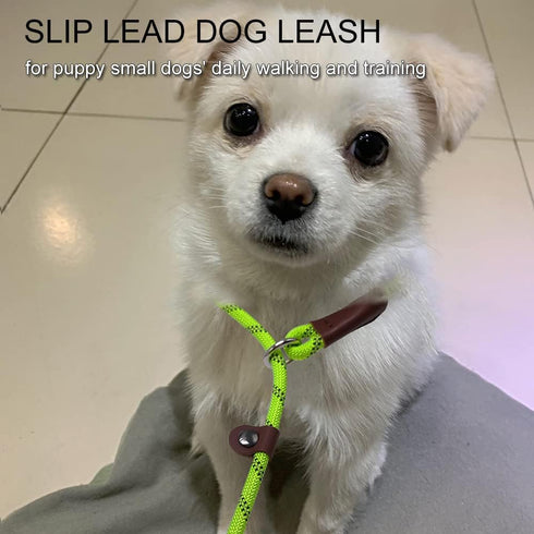 7Ft Slip Lead Dog Leash for Small Dogs, Lightweight Nylon Rope No Pull Training Leash, Green