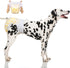360 Dono Dog Diapers Female Large with Stretchy Waist, Disposable Pull Up Full Wrap Puppy in Heat Period Diapers