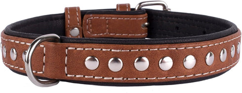 CollarDirect Studded Dog Collar - Leather Pet Collars for Dogs - Soft Padded - Brown Black (Black, Neck fit 23" - 26")