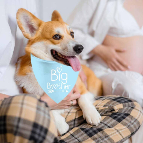 2 Pack Big Sister Big Brother Dog Bandanas, Adjustable Double Sided Pet Bandana for Pregnancy Announcement, Triangle