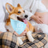 2 Pack Big Sister Big Brother Dog Bandanas, Adjustable Double Sided Pet Bandana for Pregnancy Announcement, Triangle