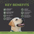 THRIVE Pet Nutrition 30 Count (4.8oz) Thrive Daily Amino Acids for Dogs Muscle Health, Recovery, Energy & Longevity