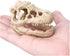 Aquarium Decoration - Skeleton Hole Resin Dinosaur Skull Ornament for Fish Tank & Reptile House