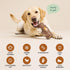 Frozen Dog Toys for Aggressive Chewers, Interactive Indestructible Dog Toys to Keep Them Busy, Durable Dog Treat Toy