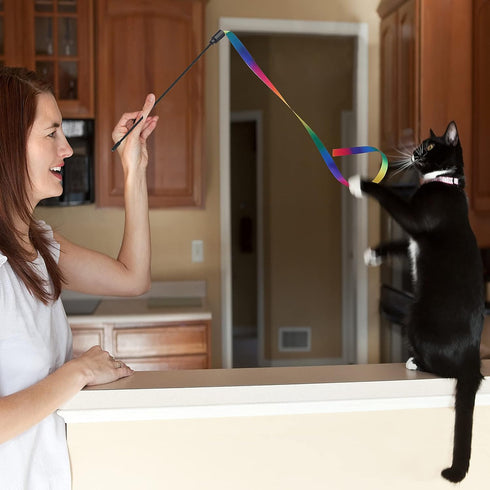 Cat Wand Interactive Toy, 5 Sets Colorful Fabric Ribbon Sticks for Indoor Play, Pet Toys for Kittens
