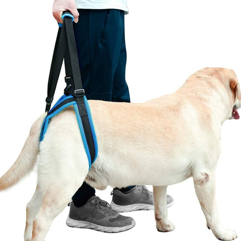 Dog Lift Support Harness for Weak Rear Legs, Adjustable Back Leg Hip Support Harness for Senior Dogs with Joint Injuries