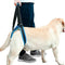 Dog Lift Support Harness for Weak Rear Legs, Adjustable Back Leg Hip Support Harness for Senior Dogs with Joint Injuries
