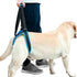 Dog Lift Support Harness for Weak Rear Legs, Adjustable Back Leg Hip Support Harness for Senior Dogs with Joint Injuries