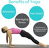 Vive Yoga Poster - Poses for Beginners and Experts, Double Sided Laminated Flow Chart for Home Gym