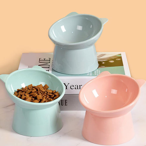 Raised Cat Bowl, Elevated Feeding Bowls with Stand, Anti Vomit Tilted Cat Food Bowl for Pets
