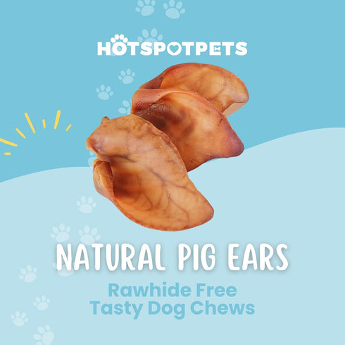 Hotspot Pets Pig Ears for Dogs (20 Pack) - All-Natural, Highly Digestible Chews, Rawhide Alternative