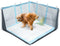 Dog Pee Pad Holder with High Walls, Portable Dog Litter Box for