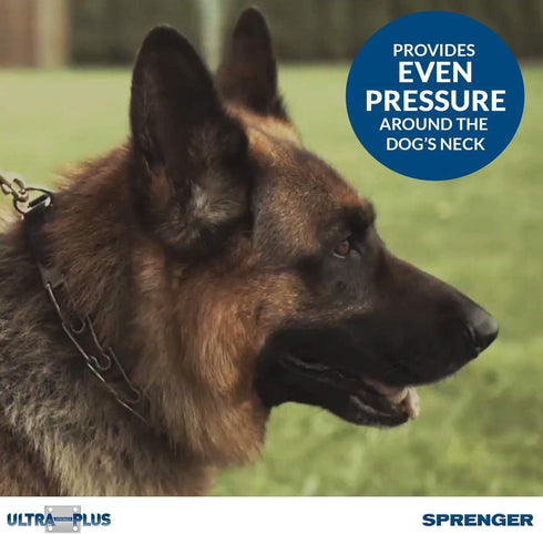 Herm Sprenger Chrome Plated Training Collar, Quick Release Snap, Medium Size, 3.0mm, 21-Inch