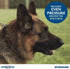 Herm Sprenger Chrome Plated Training Collar, Quick Release Snap, Medium Size, 3.0mm, 21-Inch