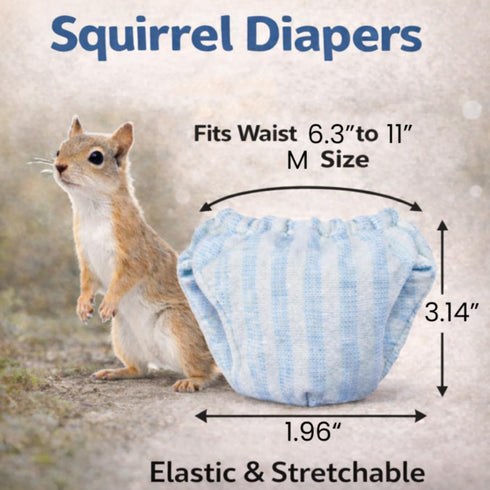 HIHETE 3 6.3" 11" Squirrel Diapers, PCS Washable Strechable Small Pet Cloth Diapers, Highly Absorbent and Leak-Proof
