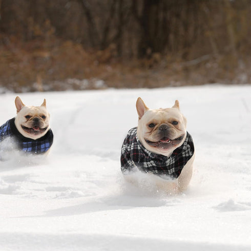 4 Pieces Winter Fabric Dog Sweater with Leash Ring, Fleece Vest Pullover Jacket for Small Dogs and Cats