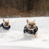 4 Pieces Winter Fabric Dog Sweater with Leash Ring, Fleece Vest Pullover Jacket for Small Dogs and Cats