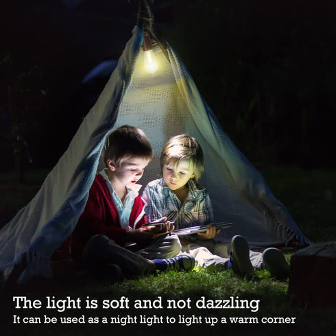 2 Pack Bulb,Portable Backpacking Rechargeable Warm Tent Hanging Light Outdoor Vintage LED Camping Light,Pendant
