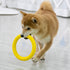 Dog Flying Disc, Indestructible Floating Ring Toys for Small Chewers, Durable Outdoor & Indoor Puppy Toy