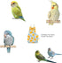 Generic Count, 6) Bird Diapers for Parrot, Cockatiels Conure Monk Parakeets Pigeon, Reusable Parrot Nappy, Bird Clothes