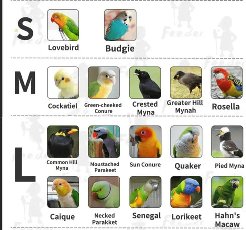 Barn Eleven Bird Flight Suits Diapers, Parrot Diapers for Monk Parakeets, Cockatiels, Parrot Clothes Costume, Bird