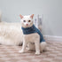 EXPAWLORER Soft Cat Sweater, Warm Kitten Clothes, Fall and Winter Pet Coat Pullover Design, Blue Medium