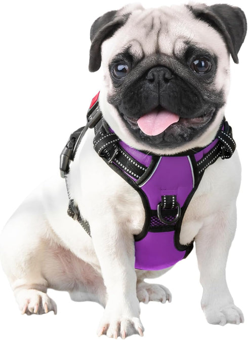 PHOEPET No Pull Dog Harness for Small Dogs, Reflective Adjustable Vest with Front Clip, 2 Metal Rings, Purple (S)