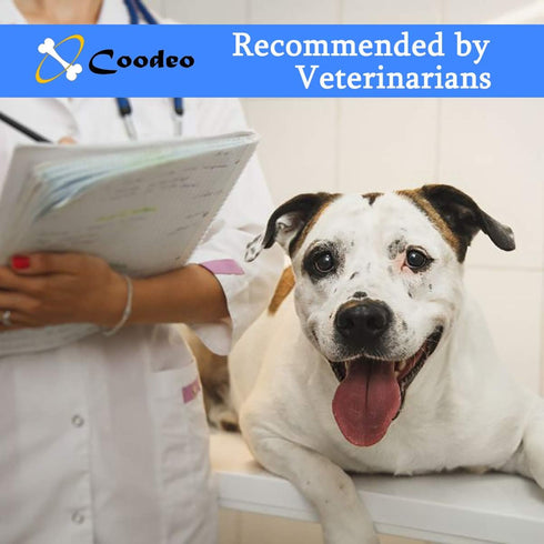 Coodeo Dog Lift Harness - Pet Support & Rehabilitation Sling Lift for Old, Disabled Dogs (Blue, S)